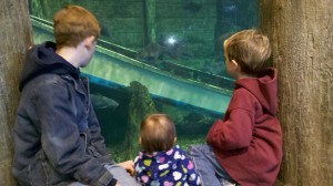 pictures of maggies kids at bass pro shop 003 300x168 Family Frugal Activities