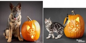 FREE dog pumpkin pumpkin stencil FREE cat pumpkin carving stencil image