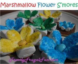 Marshmallow Flower S'mores Recipe