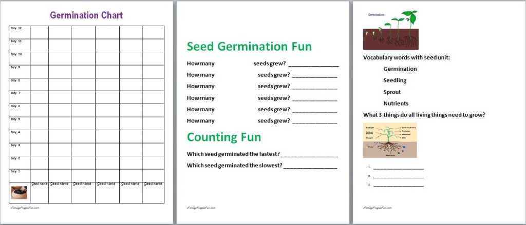 seed germination chart image