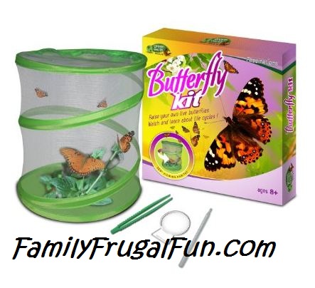 Butterfly growing kit