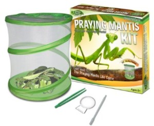 Buy Praying Mantis Kit