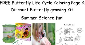 FREE Butterfly Life Cycle coloring page and Discount Butterfly Growing Kit