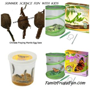 Summer Science fun with kids