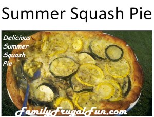 Summer Squash Pie Recipe