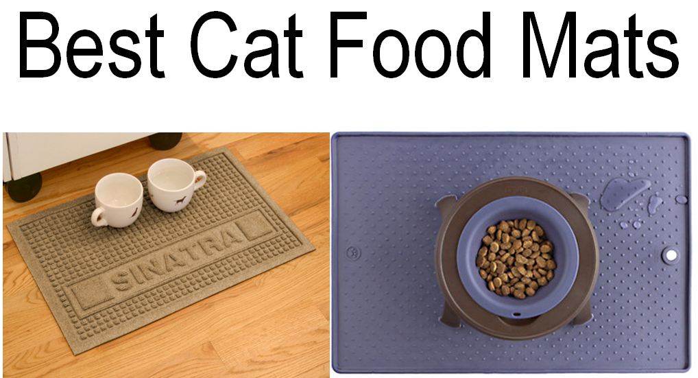 cat food mat