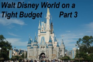 Walt Disney World on a tight Budget part 3