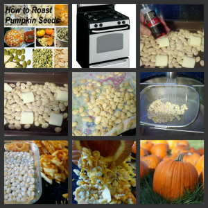 Best Roasted Pumpkin Seeds Recipe