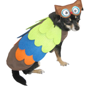 DogOwl