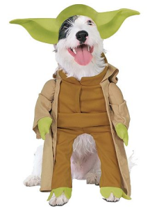 DogYoda