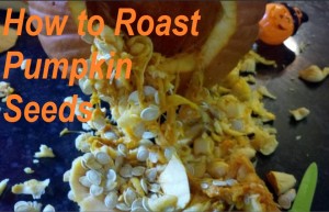 Roasted Pumpkin Seeds Recipe