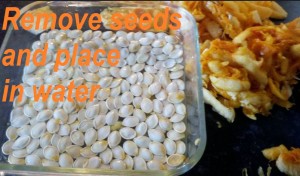 Roasted Pumpkin Seeds Recipe