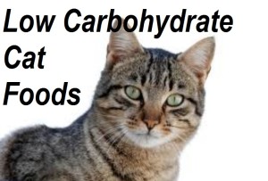 Low Carbohydrate Cat Foods