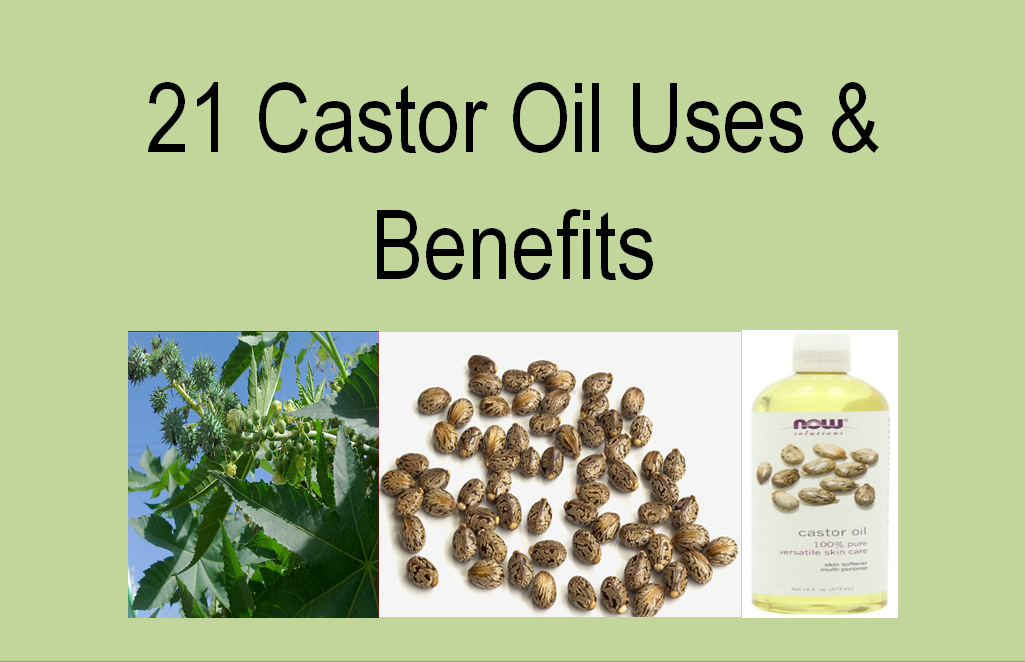 Castor Oil Uses And Benefits Family Finds Fun