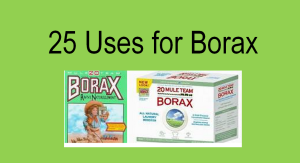 Borax Uses