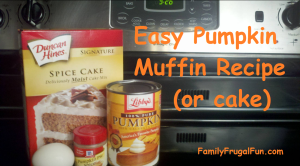 Easy Pumpkin Muffin Recipes