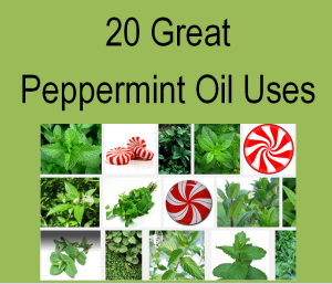 20 Peppermint Oil Uses