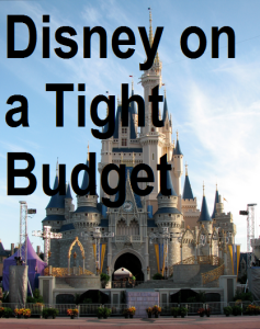 Walt Disney World on a Tight Budget