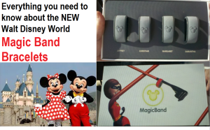 Walt Disney World Magic Band Bracelets