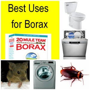 20 Best Uses for Borax