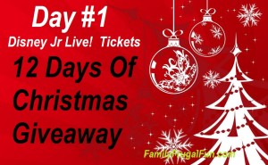 12 Days of Christmas Giveaway  Day one