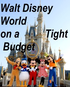 Walt Disney World on a Tight Budget