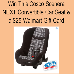 Cosco Scenera Next Car Sear Review