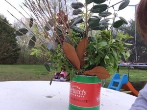 how to root plant clippings 2