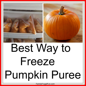 Best Way to Freeze pumpkin Puree