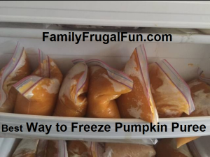 How to Freeze Pumpkin Puree