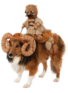 Halloween Costumes for Dog Lovers 1