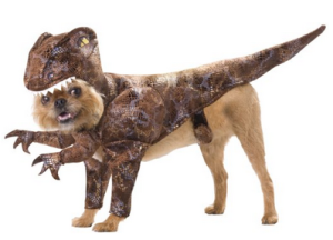 Halloween Costumes for Dog Lovers