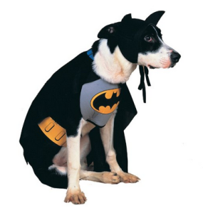Halloween Costumes for Dog Lovers 5