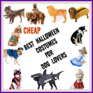 Halloween Costumes for Dog Lovers
