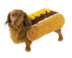 Halloween costumes for dog lovers 4
