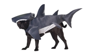 Halloween costumes for dog lovers 6