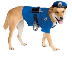 Halloween costumes for dog lovers 7