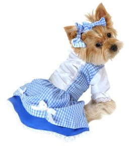 Halloween costumes for dog lovers 8