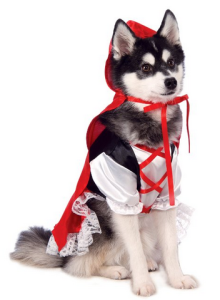 Halloween costumes for dog lovers 9