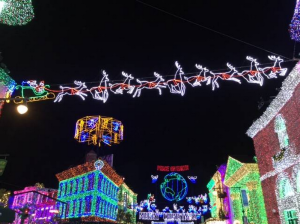 Walt Disney Osborne Lights 2015