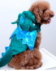 funny Halloween costumes for dogs 1