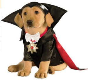 funny Halloween costumes for dogs 3