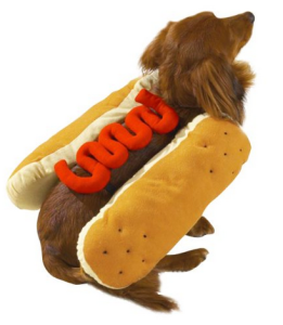 funny Halloween costumes for dogs 4