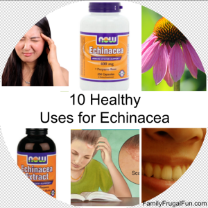 Uses for Echinacea '