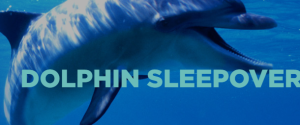 National Aquarium Sleepover