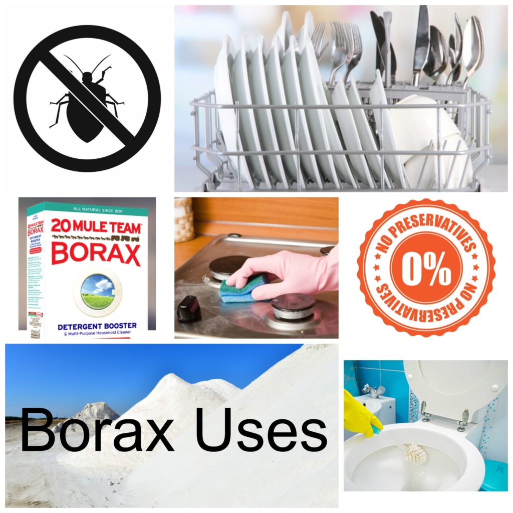 Borax Uses