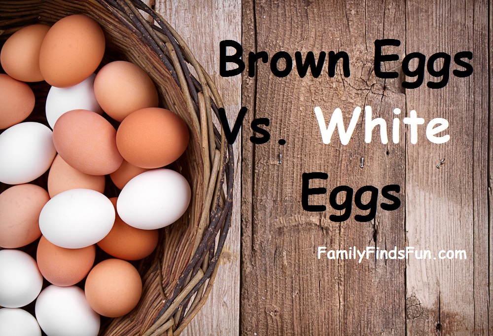 Brown Eggs Vs. White Eggs