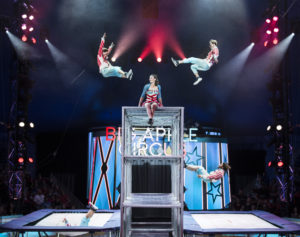 1 - Spicy Circus Trampoline Act in BIG APPLE CIRCUS. (c) Juliana Crawford